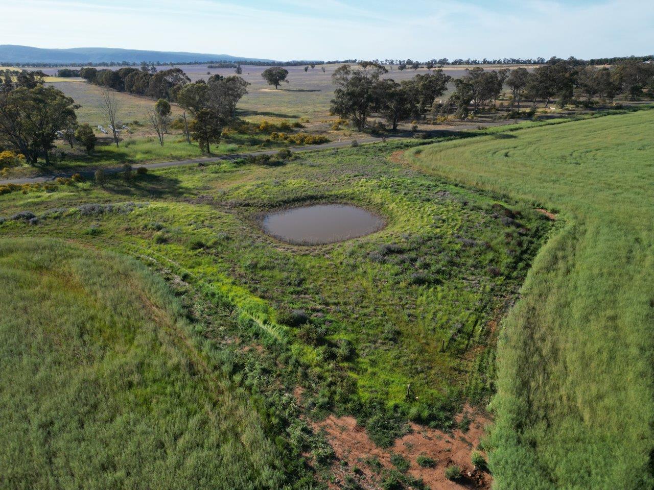 'Yarrandale' Driftway Road, Caragabal For Sale by Farmbuy.com - image 7