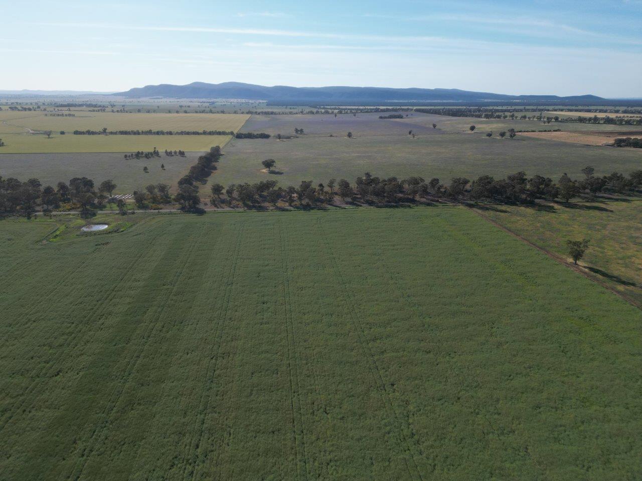 'Yarrandale' Driftway Road, Caragabal For Sale by Farmbuy.com - image 9