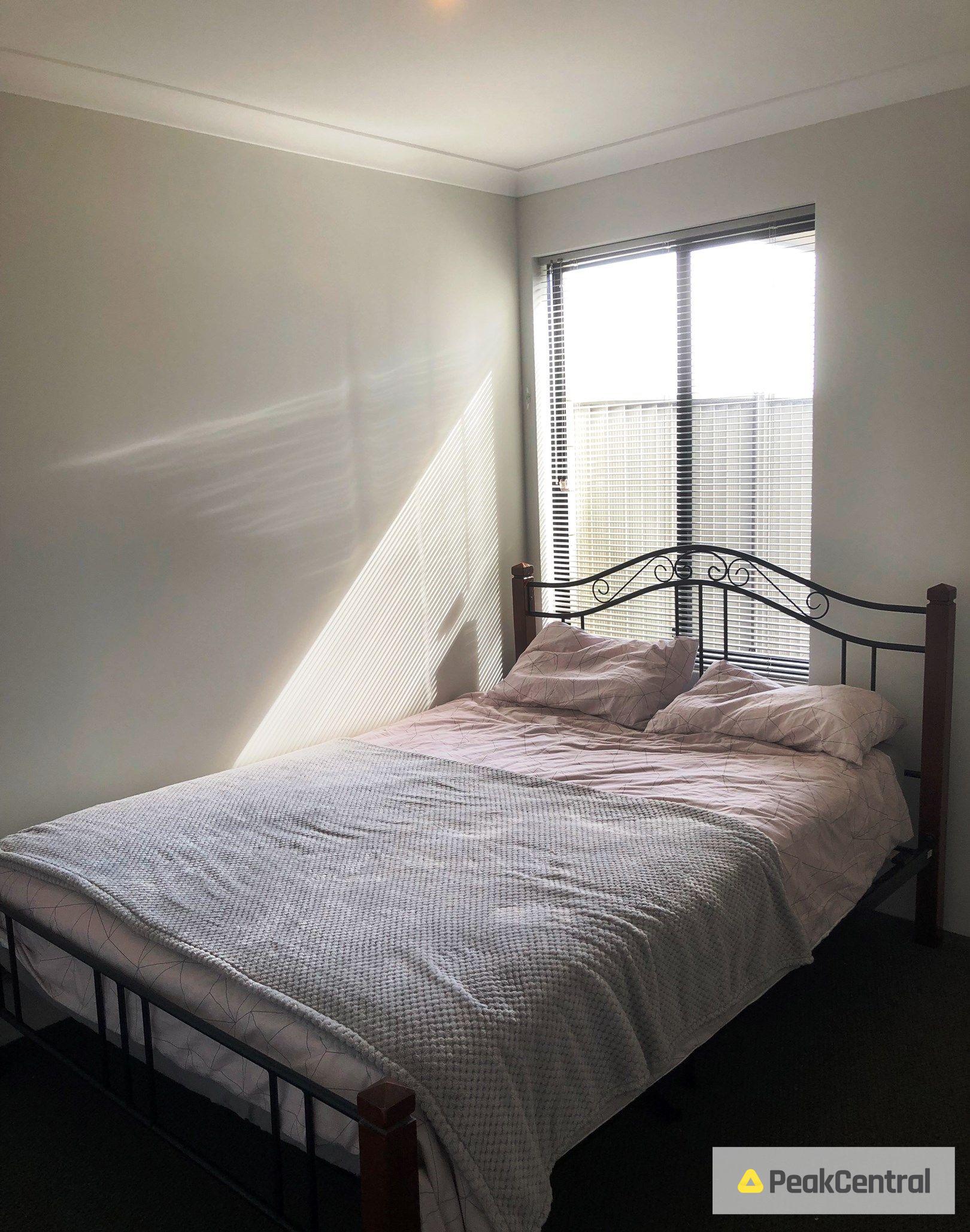 4 Needlewood Loop, Wandi For Lease by Peak Central Property Group - image 10