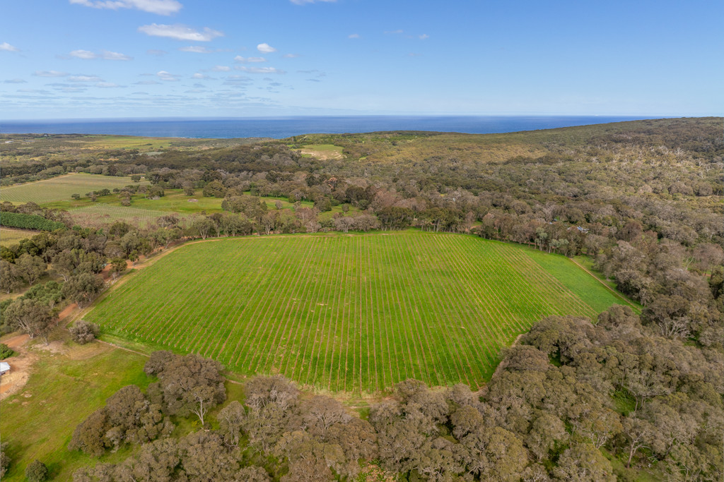 242 Quininup Road, Wilyabrup WA 6280
