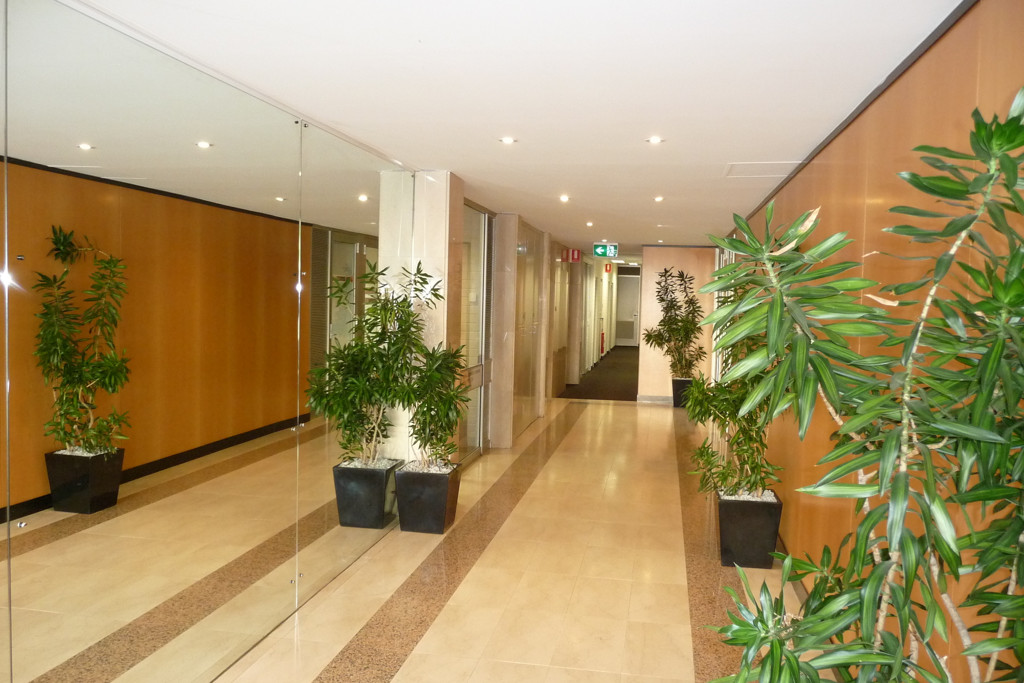 Level Grd/43 Ventnor Avenue, West Perth WA 6005