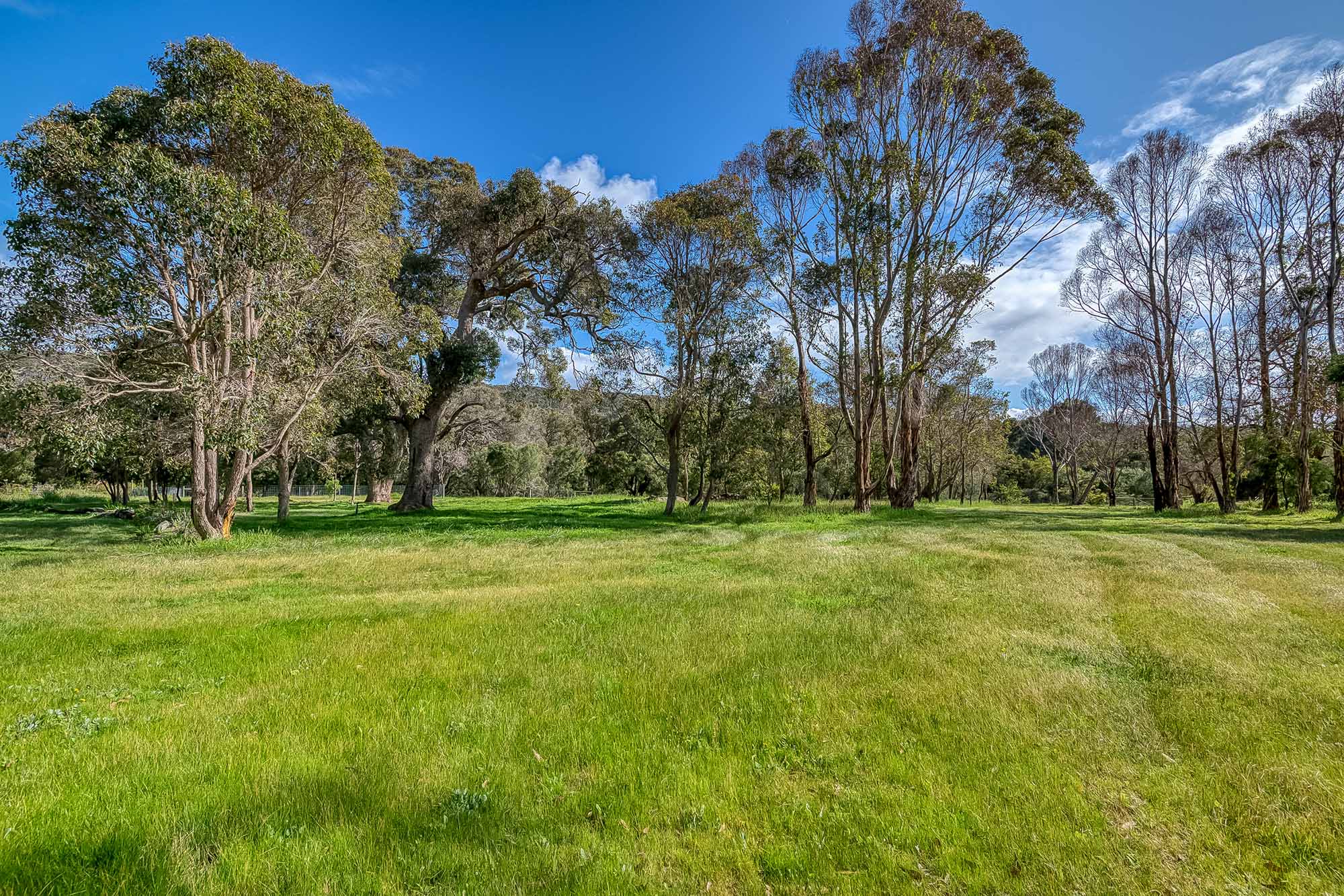 242 Quininup Road, Wilyabrup WA 6280