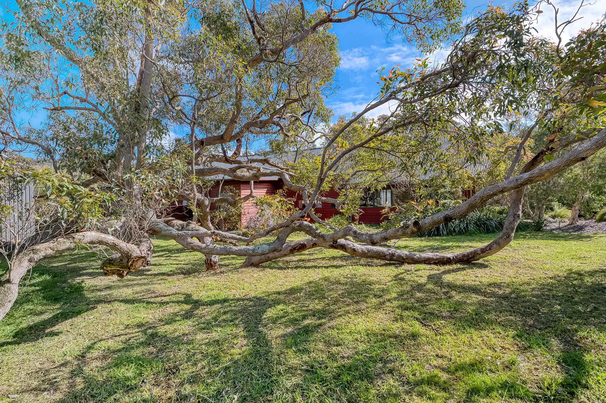 242 Quininup Road, Wilyabrup WA 6280