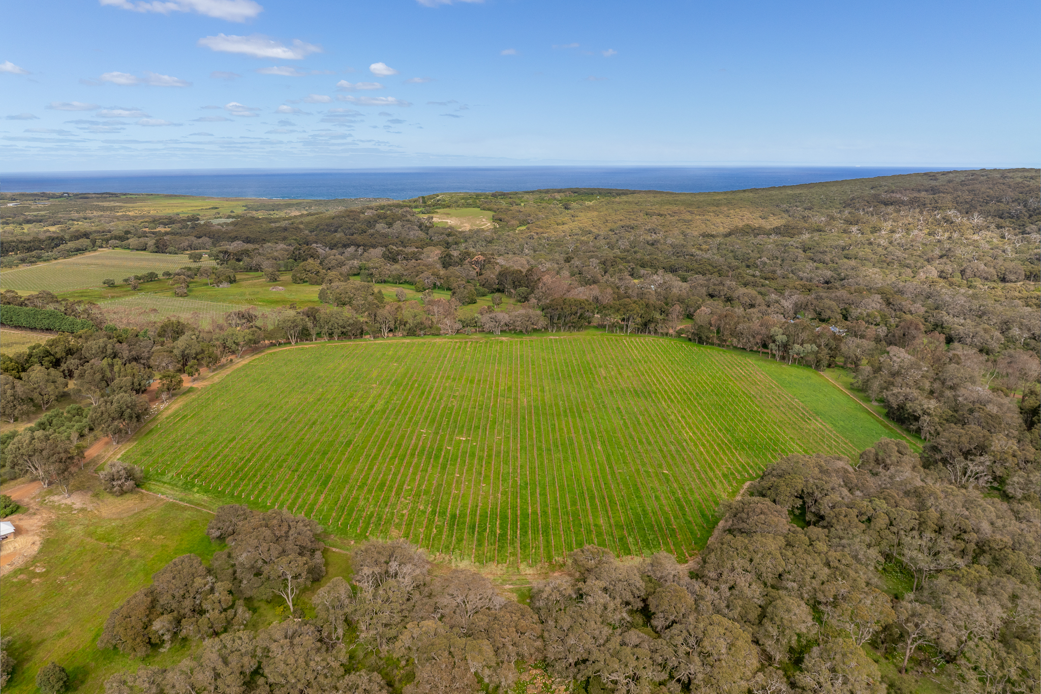 242 Quininup Road, Wilyabrup WA 6280