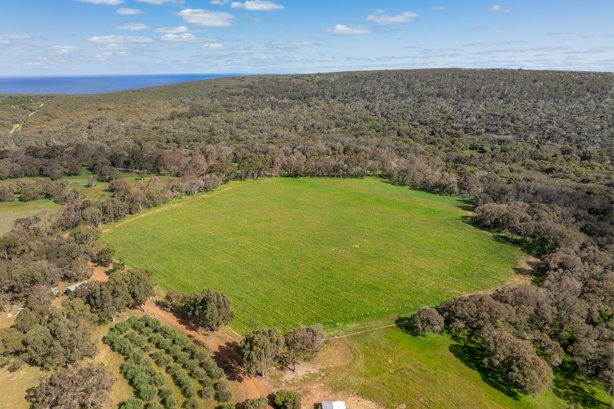 242 Quininup Road, Wilyabrup WA 6280