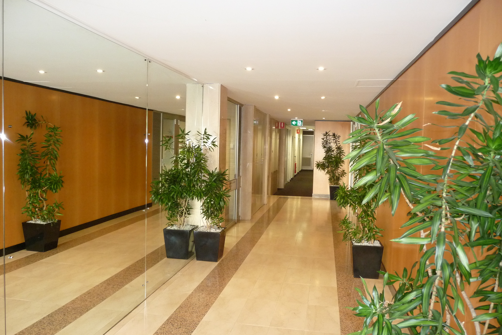 Level Grd/43 Ventnor Avenue, West Perth WA 6005