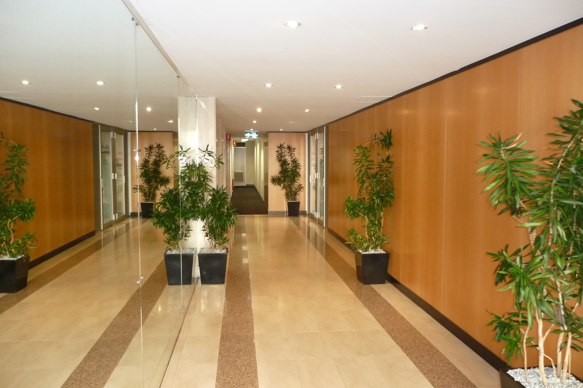 Level 1/43 Ventnor Avenue, West Perth WA 6005