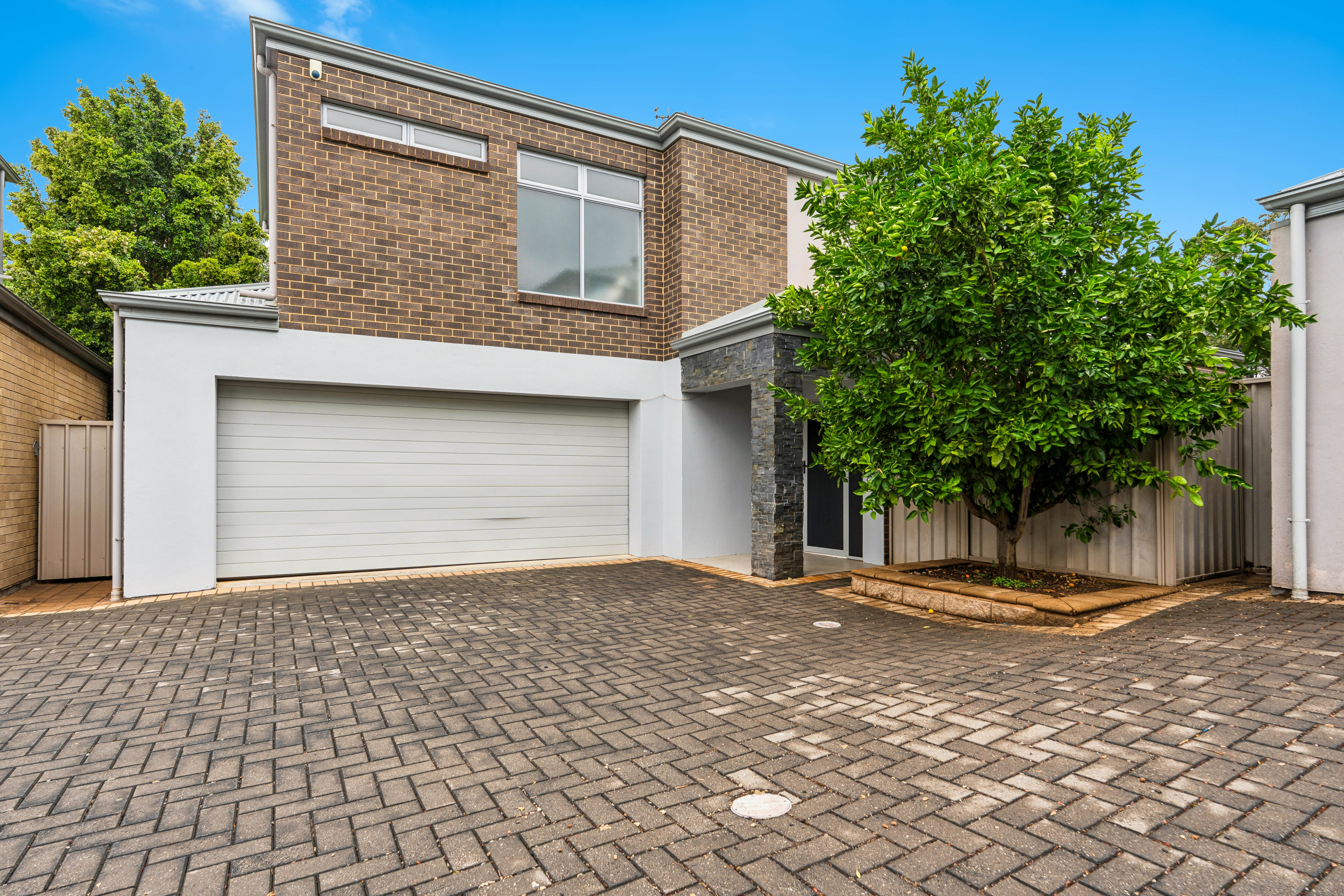8C Arcadia Avenue, PARADISE, SA 5075 2