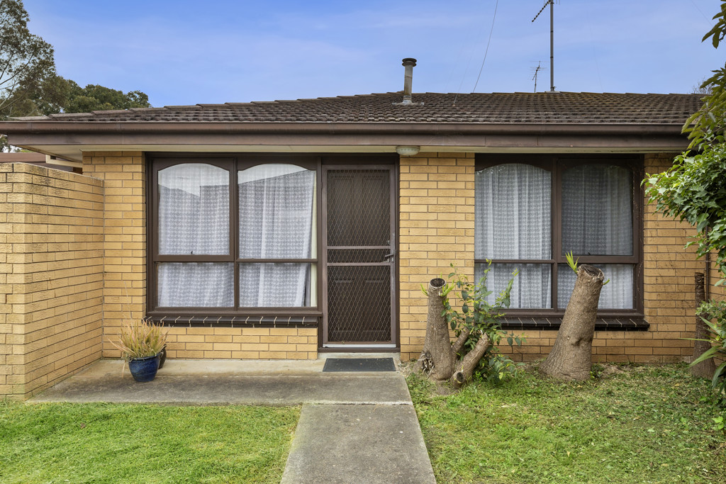 3/37 Buckingham Road, Newtown VIC