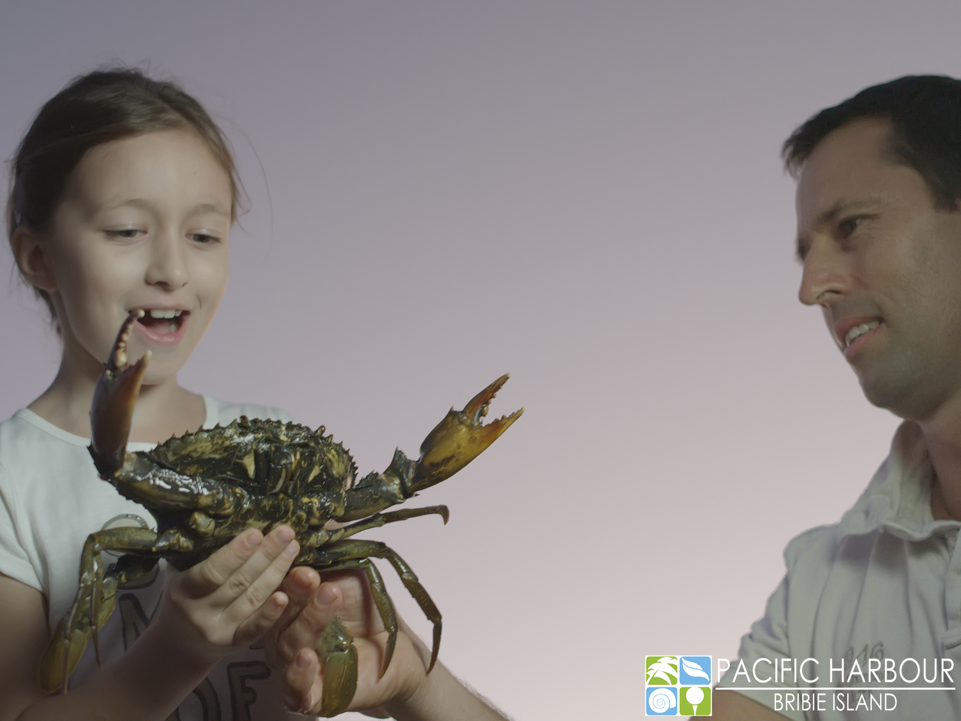 Bribie Island exclusive Palm Cove land release