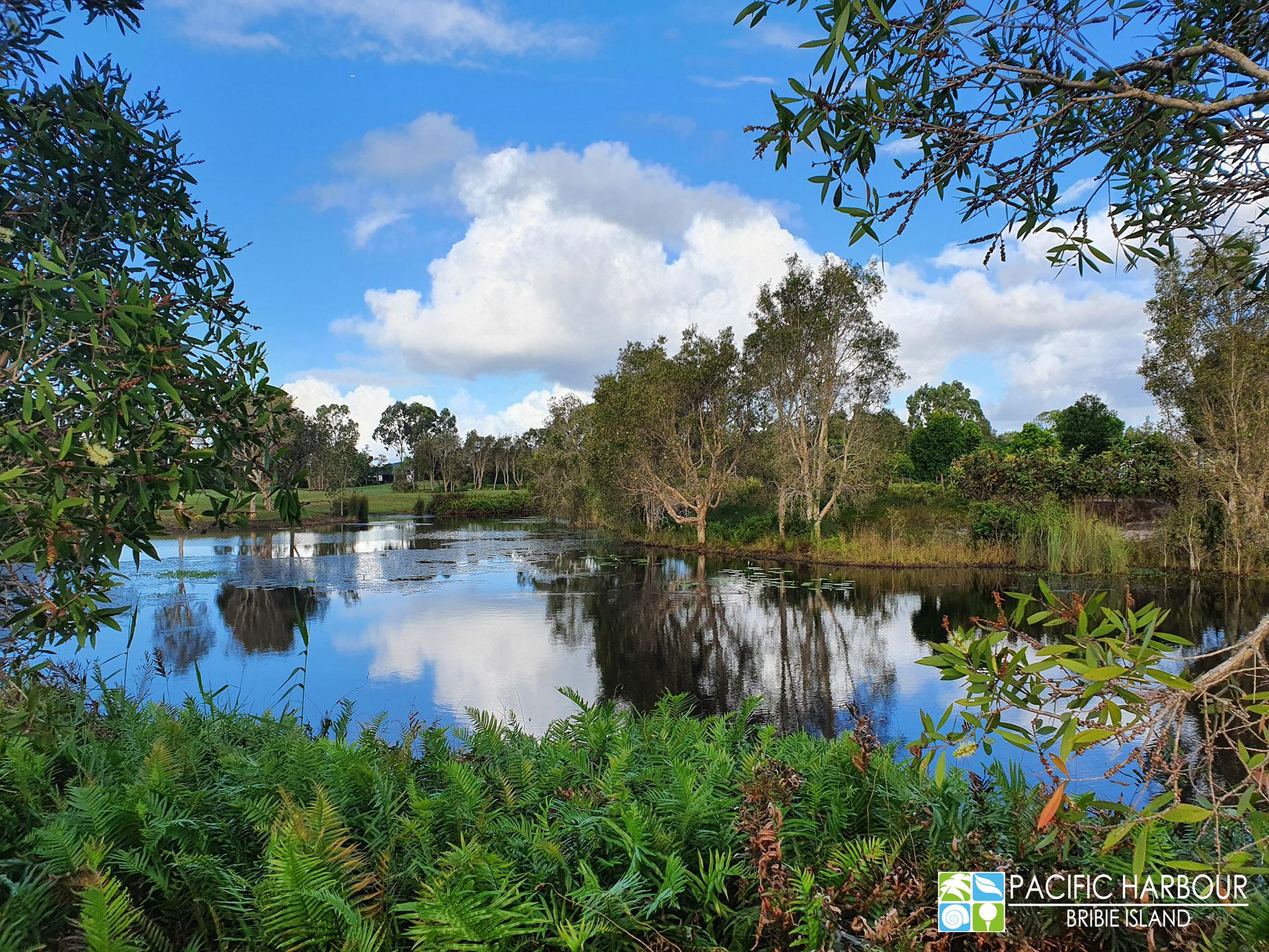 MASSIVE LAKE & PARK FRONTAGE LAND - OVER 34 METRES