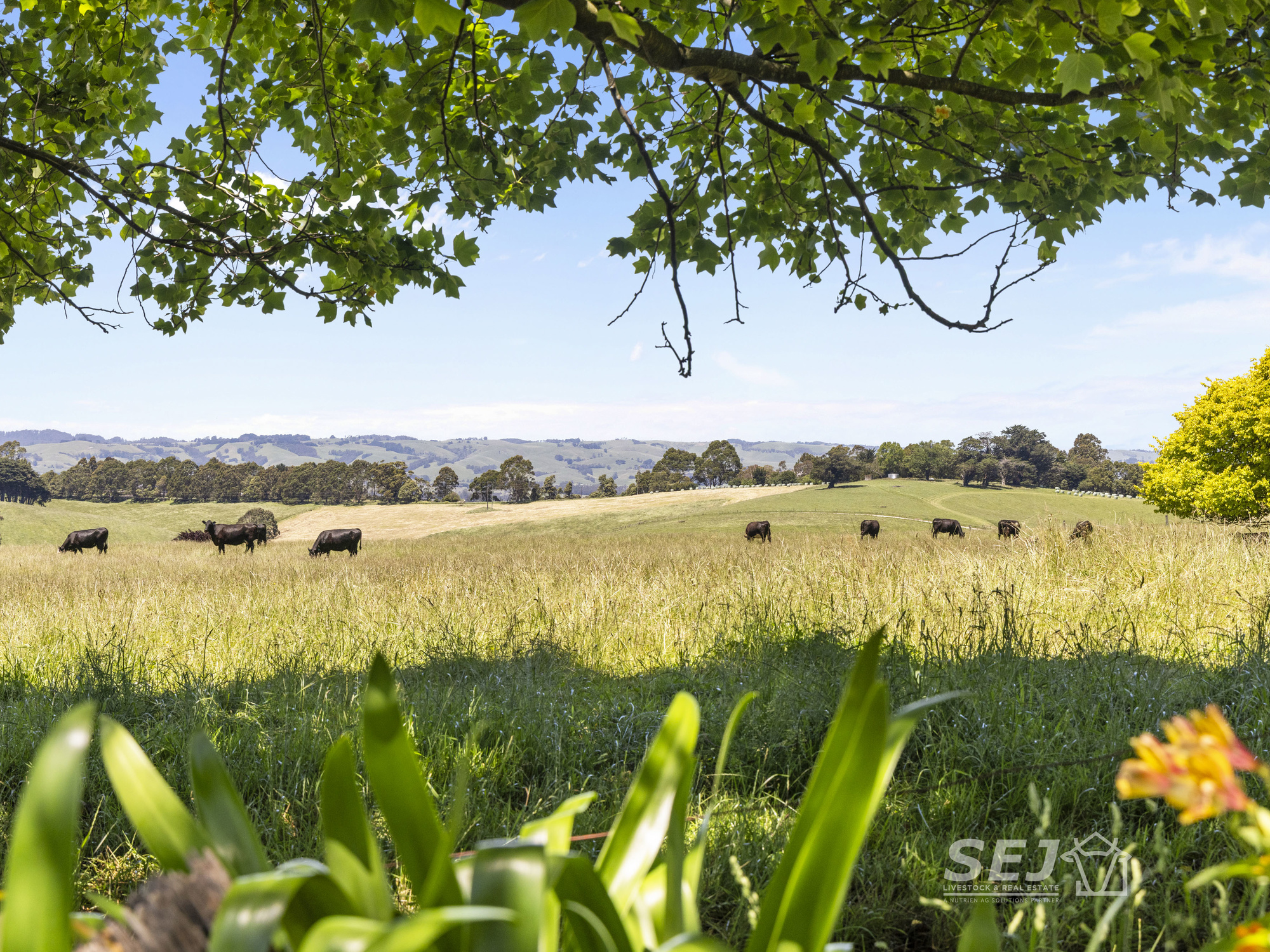 155 Coulters Road, Mardan VIC 3953