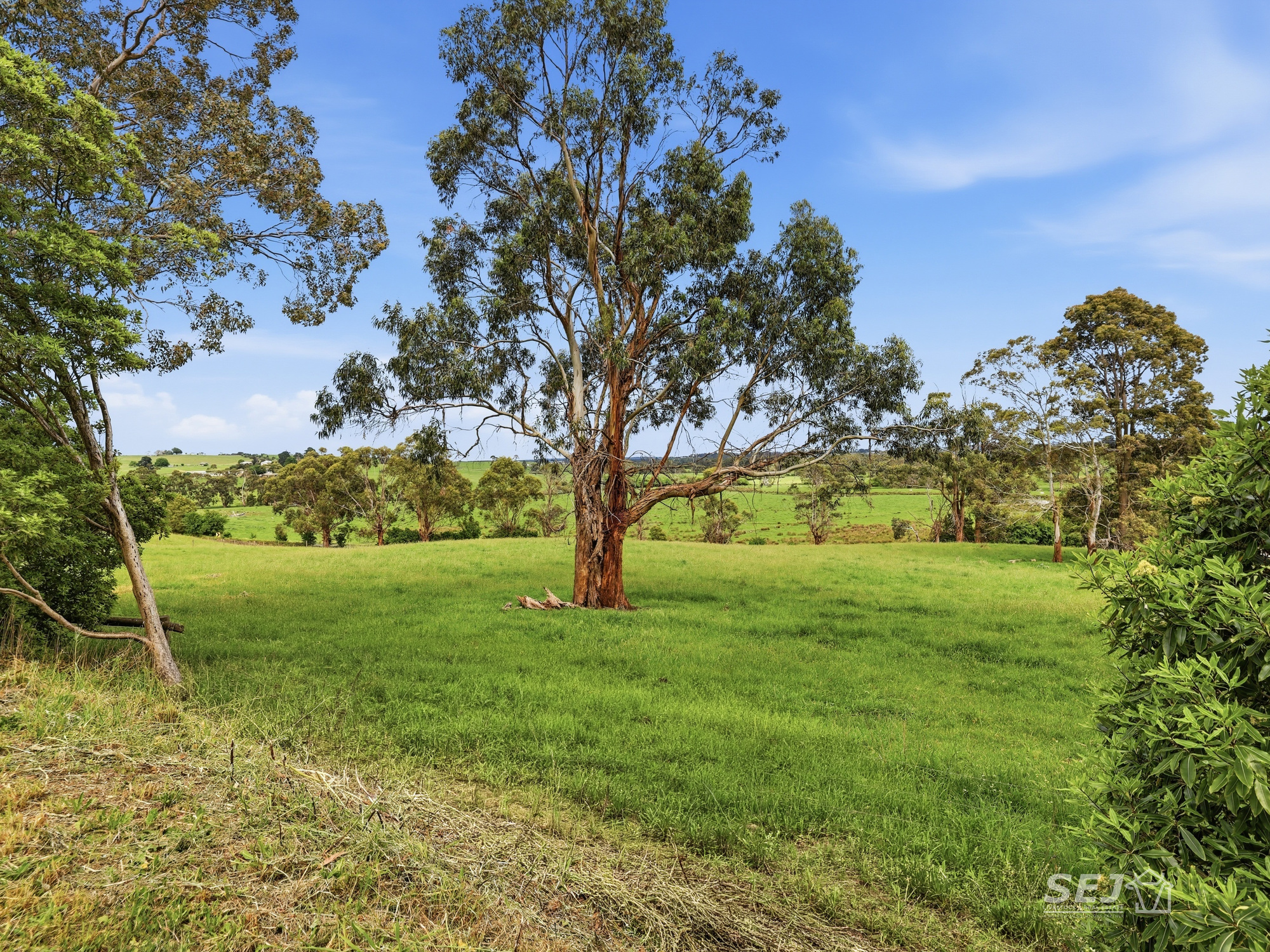 275 Hulls Road, Nerrena For Sale by Farmbuy.com - image 29