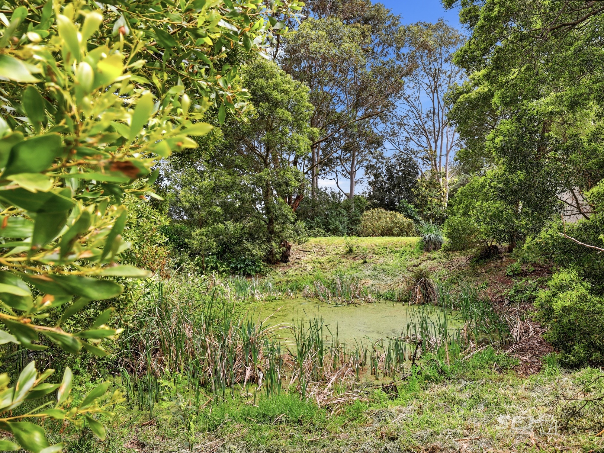 275 Hulls Road, Nerrena For Sale by Farmbuy.com - image 30