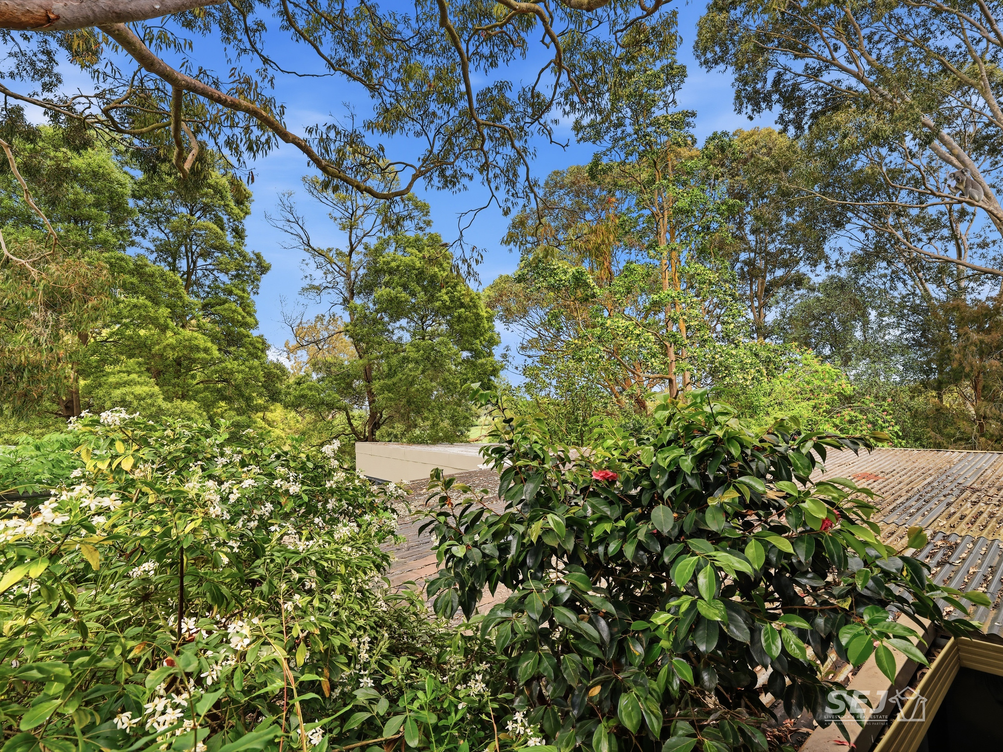 275 Hulls Road, Nerrena For Sale by Farmbuy.com - image 31