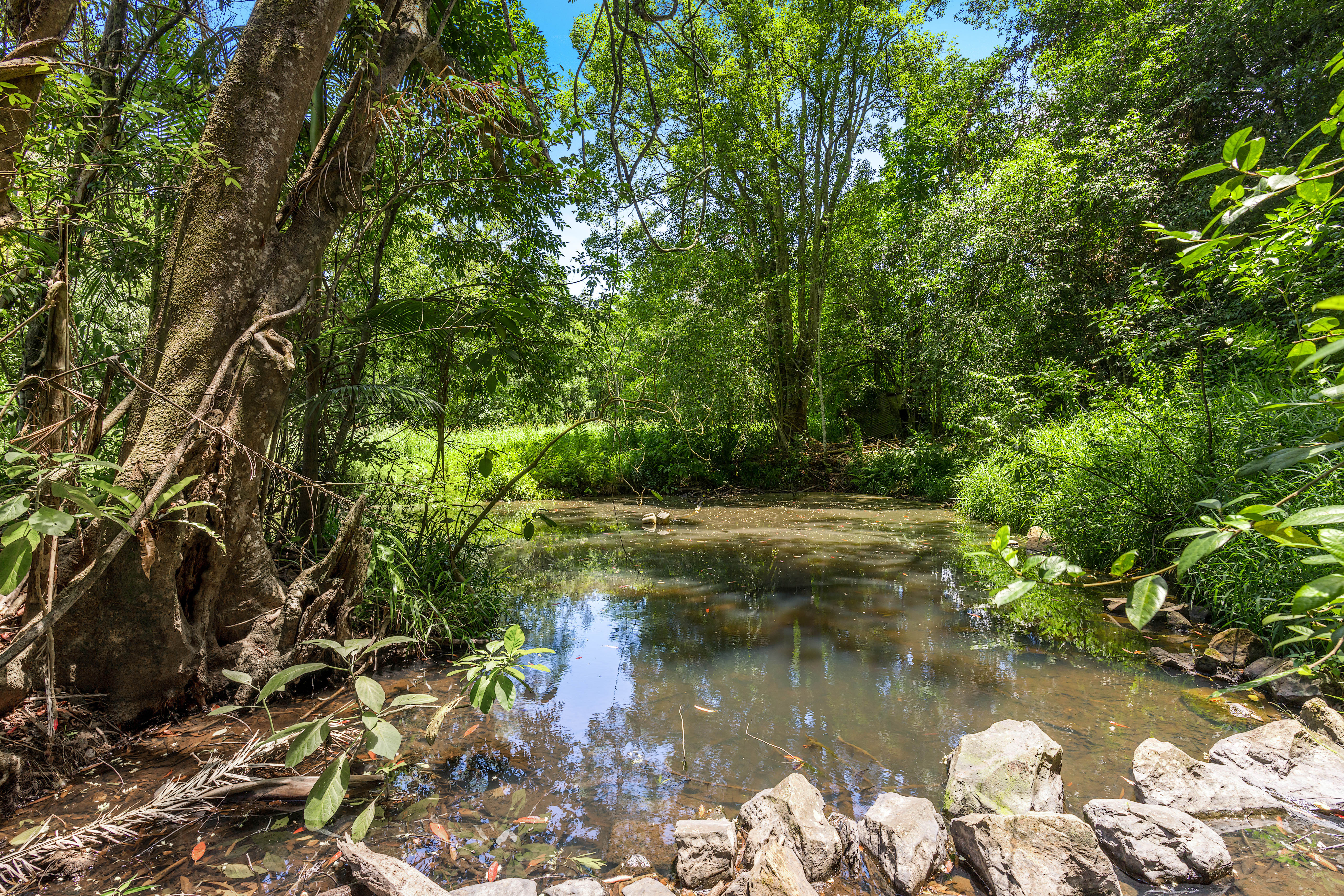 40 Macadamia Lane, Federal For Sale by Farmbuy.com - image 5