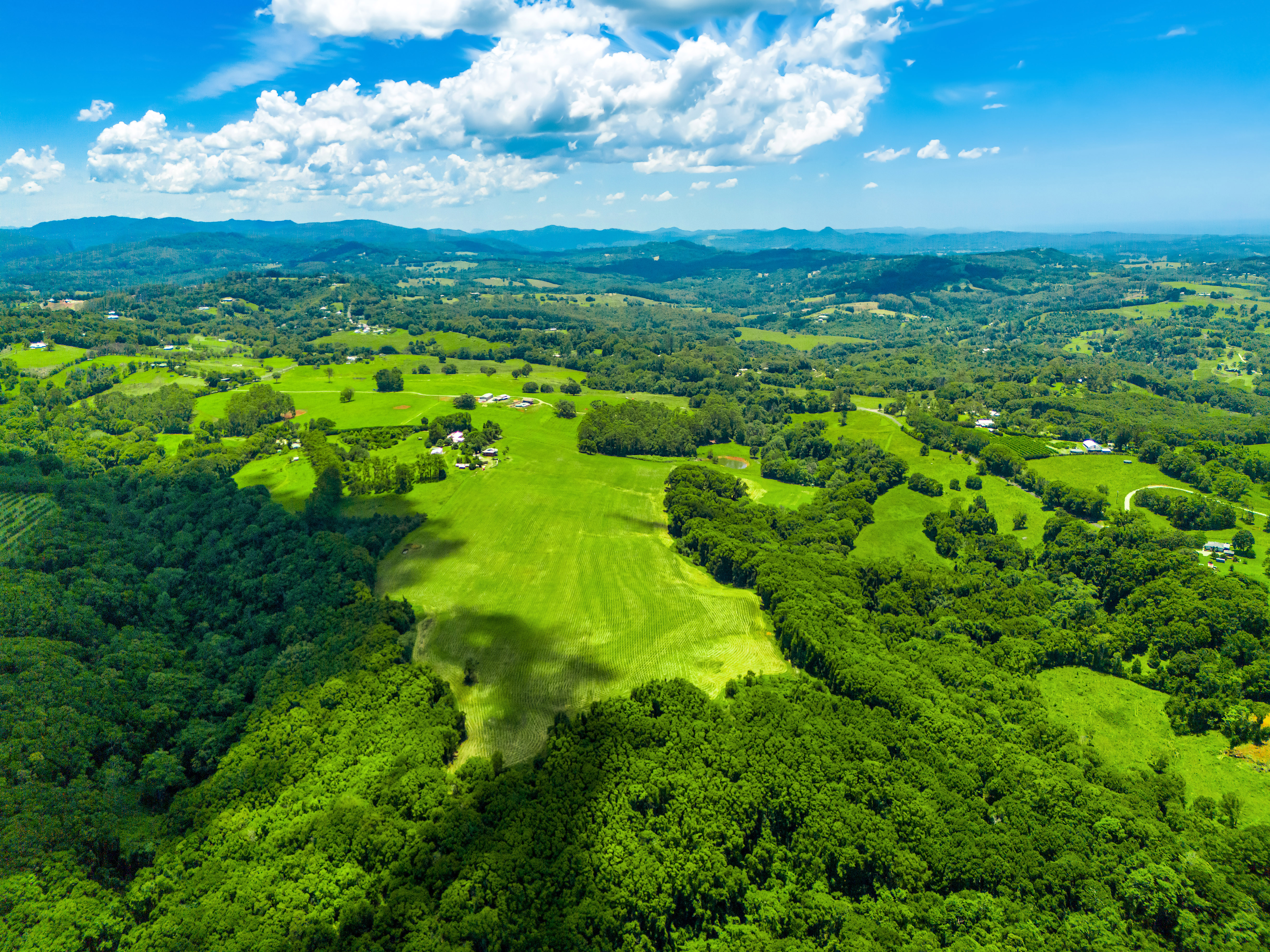 40 Macadamia Lane, Federal For Sale by Farmbuy.com - image 17