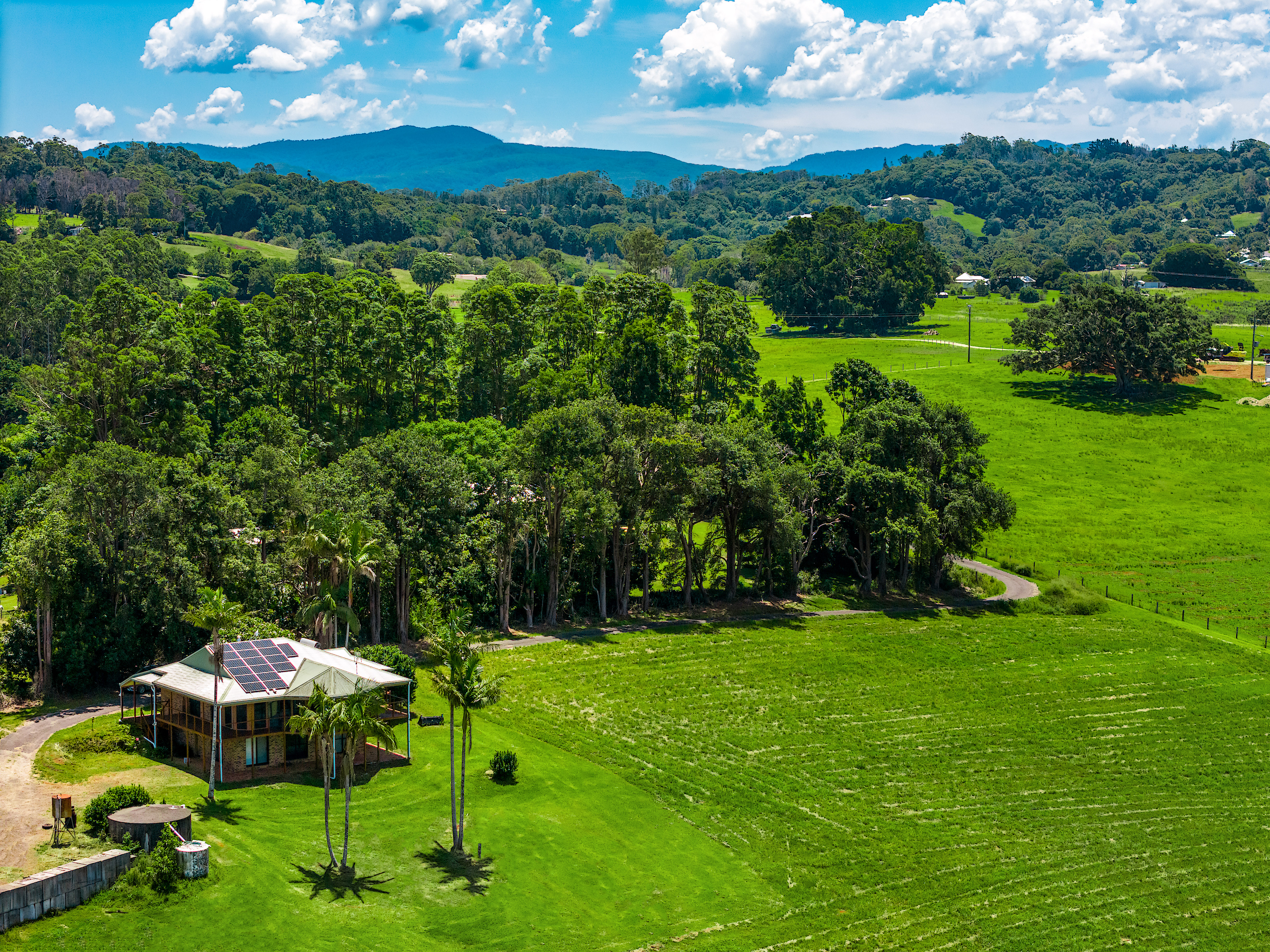 40 Macadamia Lane, Federal For Sale by Farmbuy.com - image 16