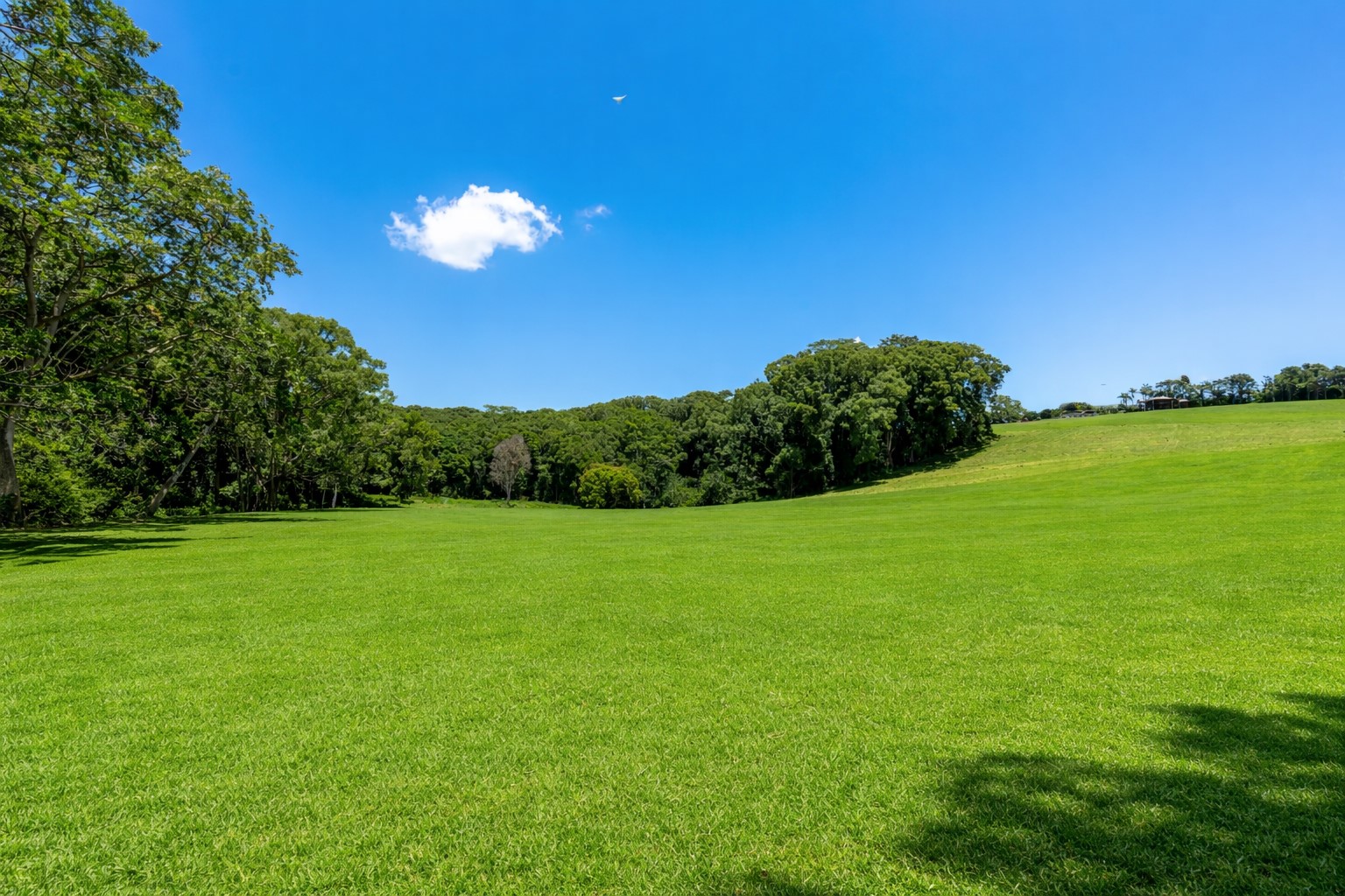 40 Macadamia Lane, Federal For Sale by Farmbuy.com - image 11