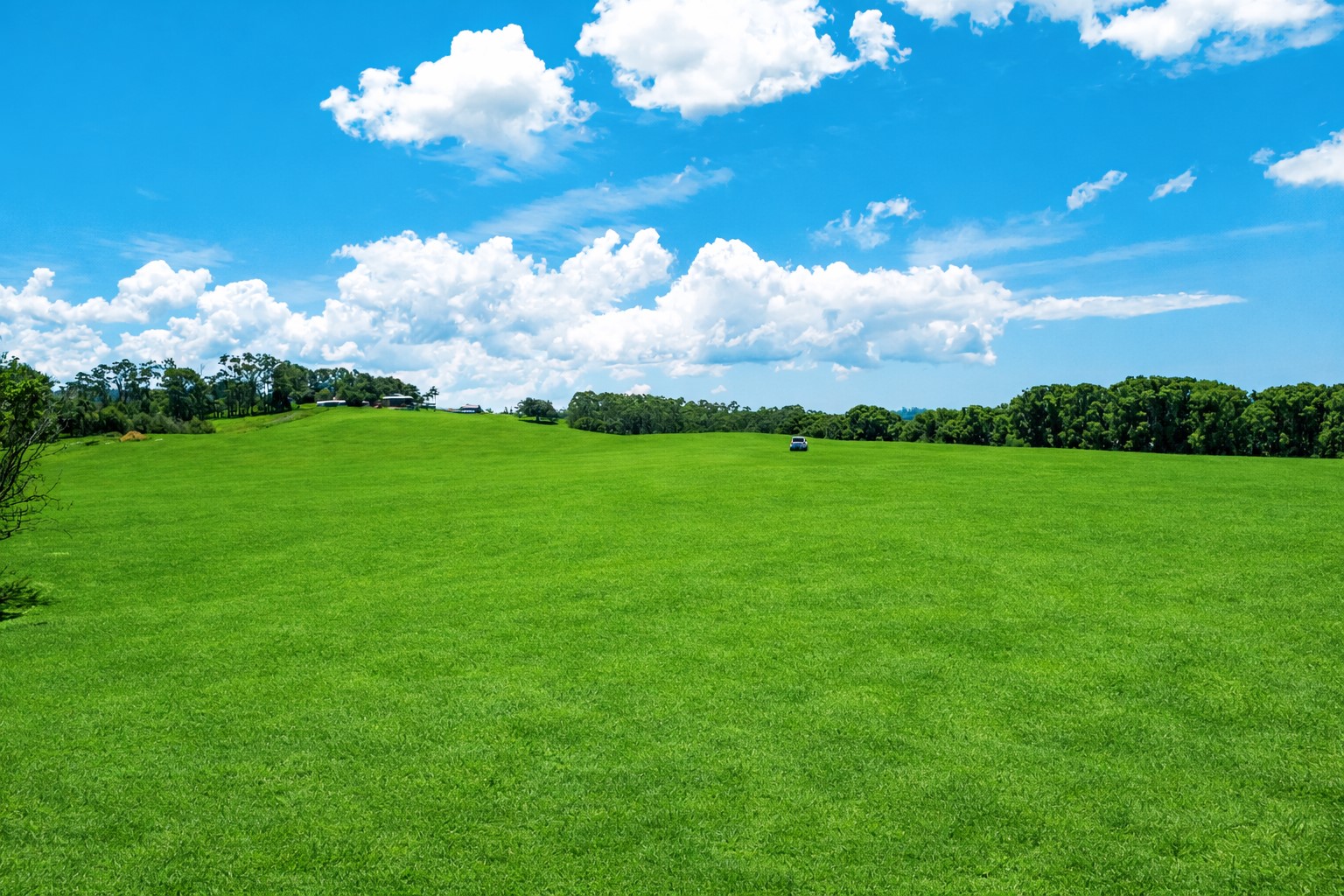 40 Macadamia Lane, Federal For Sale by Farmbuy.com - image 6