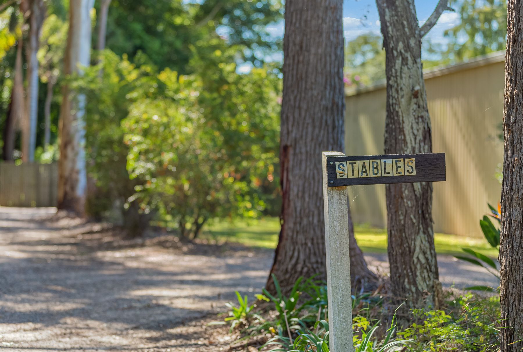 236 Mansfield Road, Elimbah - Thumbnail 3