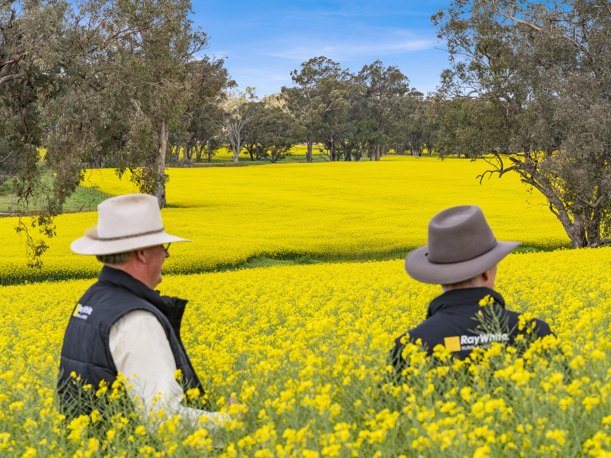 2056 Benalla-Yarrawona Road, Bungeet West VIC 3726