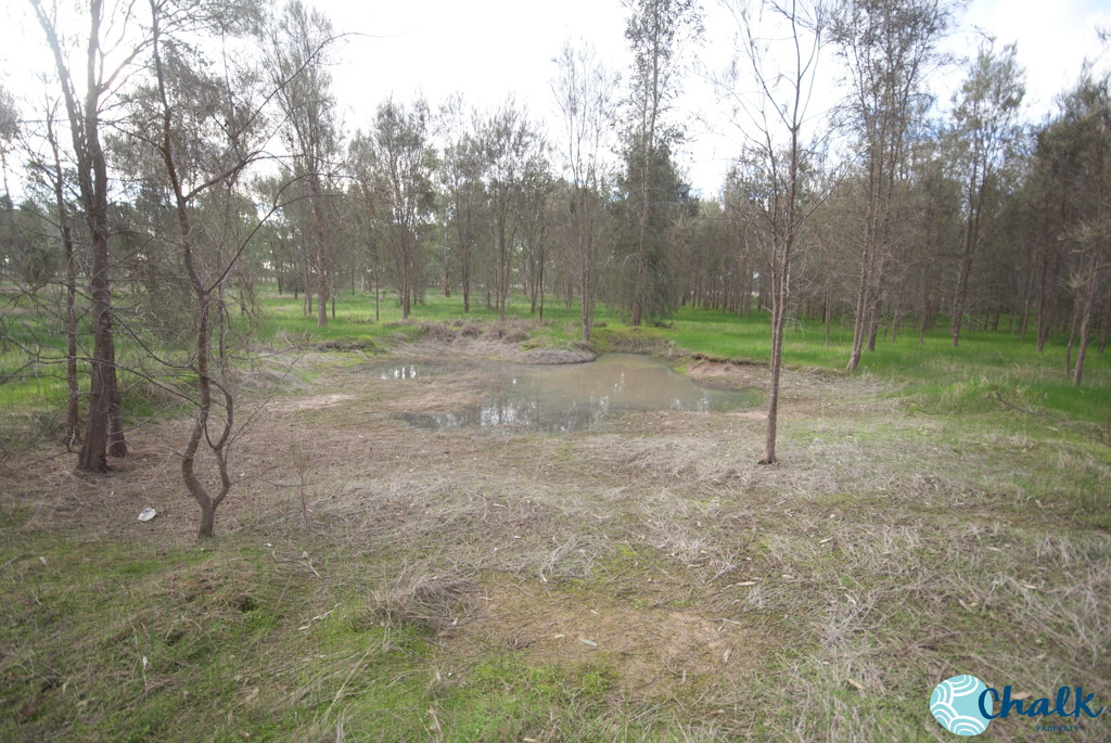 Lot/20 Haines Road, Baldivis - Thumbnail 7