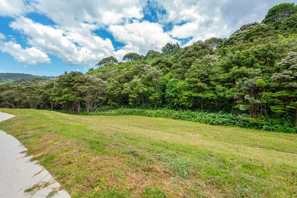 659B South Titirangi Road, Titirangi - Photo 4