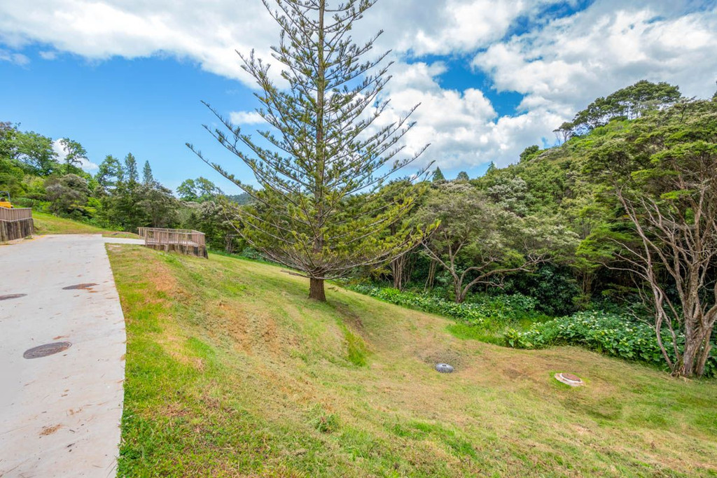 661A South Titirangi Road, Titirangi - Photo 3