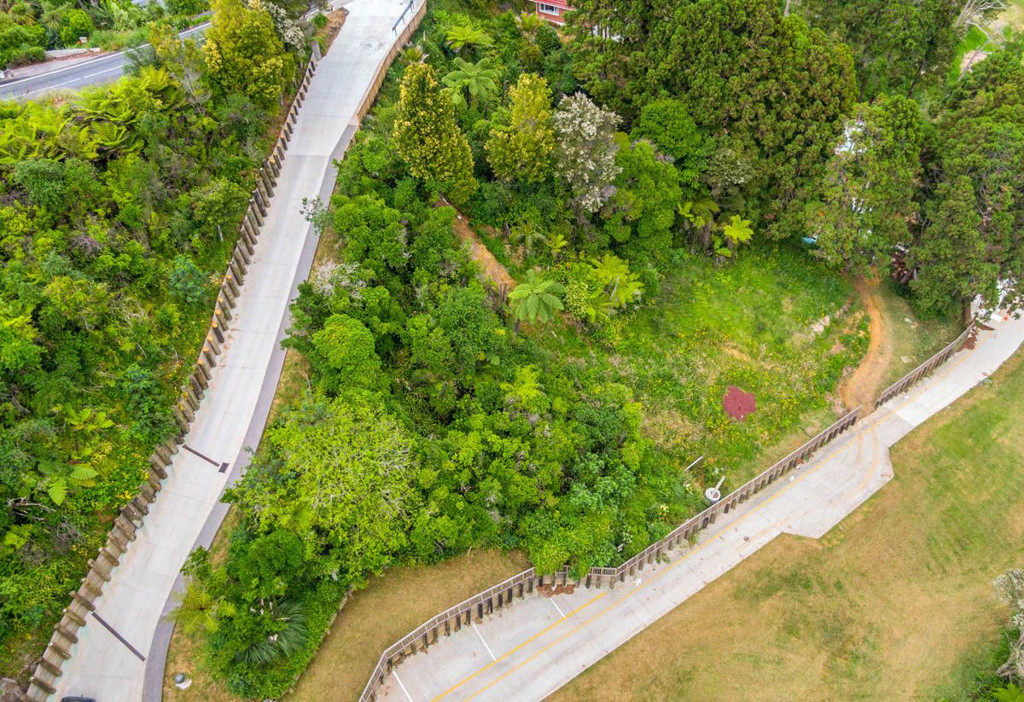 659 South Titirangi Road, Titirangi - Photo 3