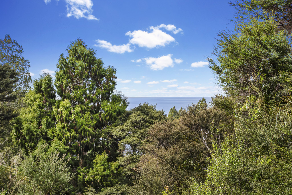 19 Rauhuia Crescent, Parau - Photo 5
