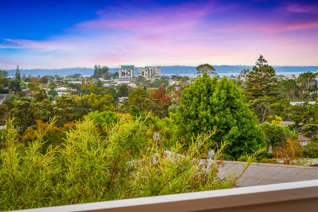 56 Paewai Road, Glen Eden - Photo 5