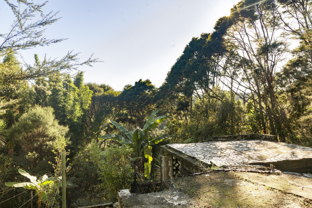 70 Mountain Road, Henderson Valley - Photo 7