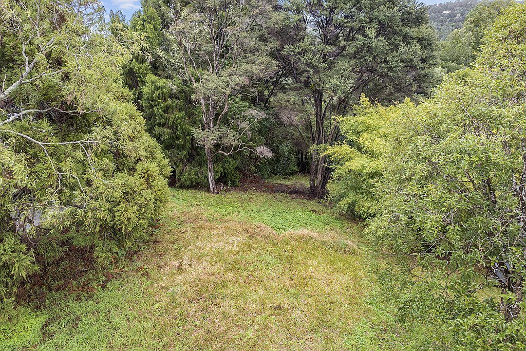 31 Rimutaka Place, Titirangi - Photo 2