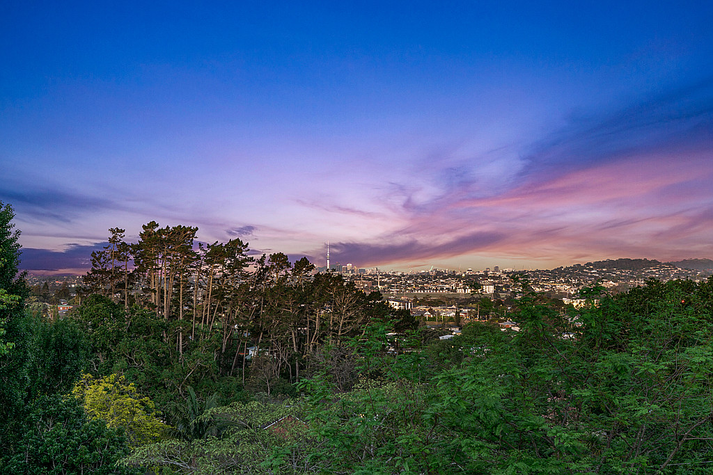 6 Eastglen Road, Glen Eden - Photo 5