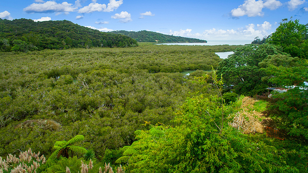 634 Huia Road, Parau