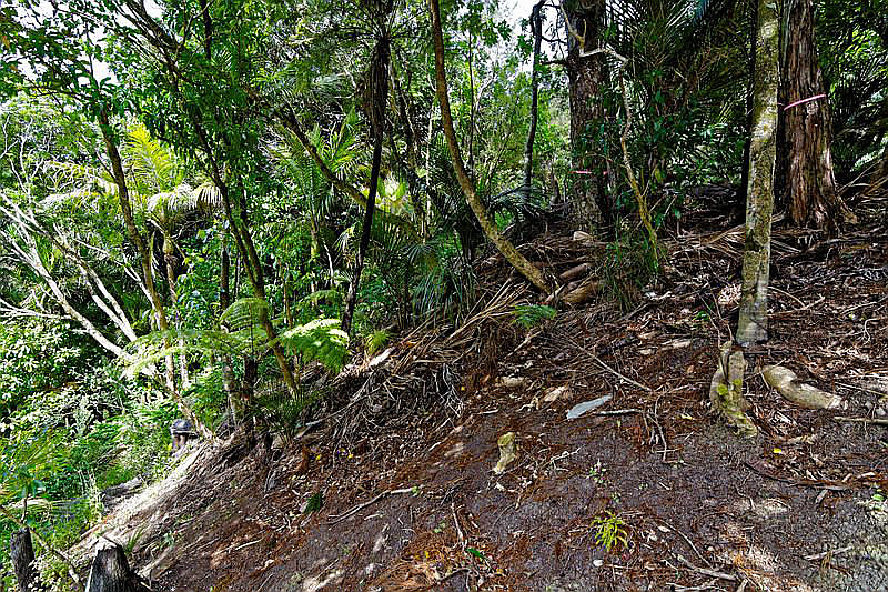 42 Tanekaha Road, Titirangi - Photo 3