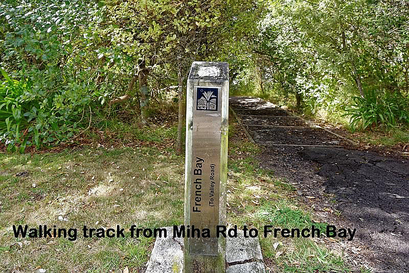 42 Tanekaha Road, Titirangi - Photo 4