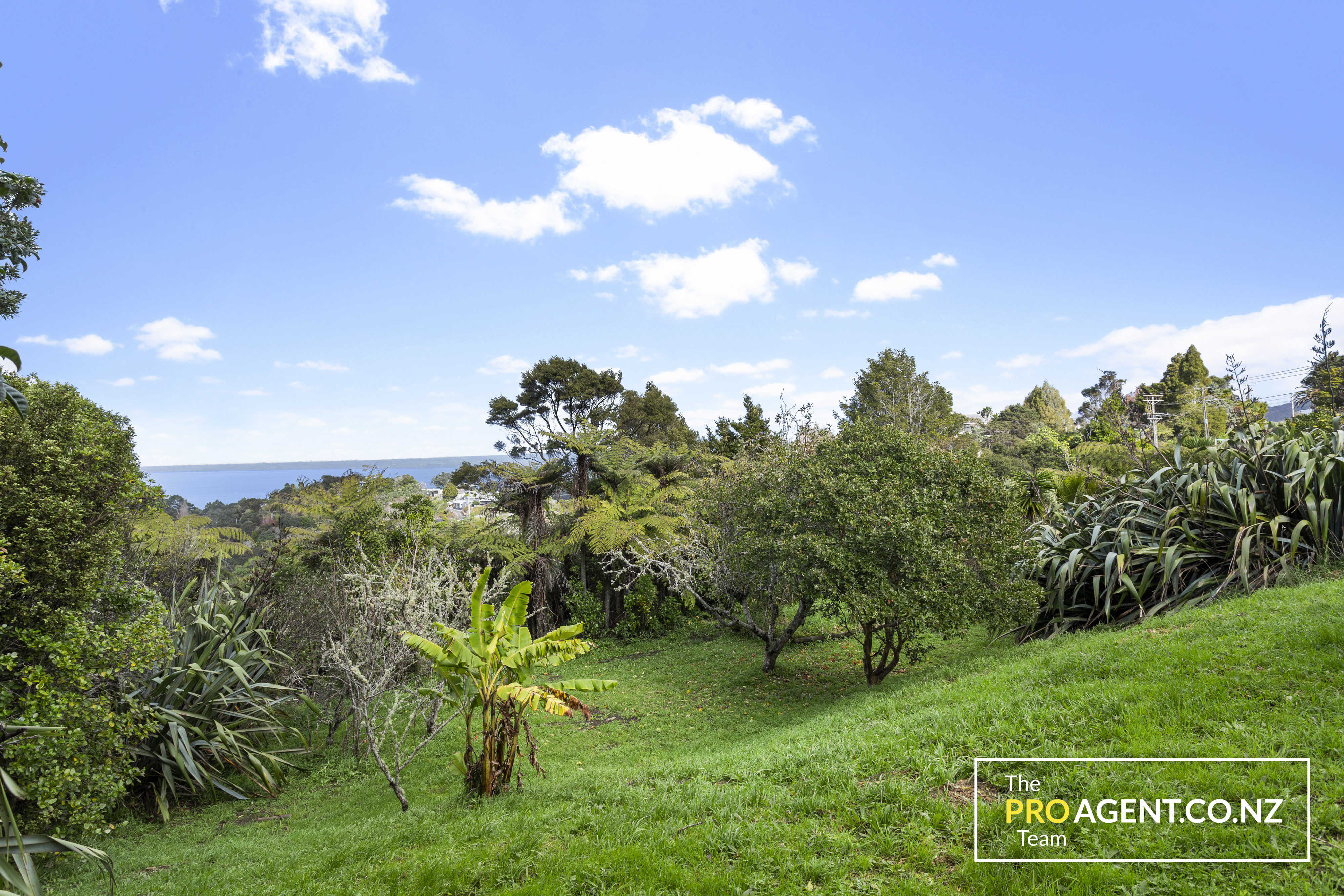 77 Tane Road, Laingholm - Photo 2