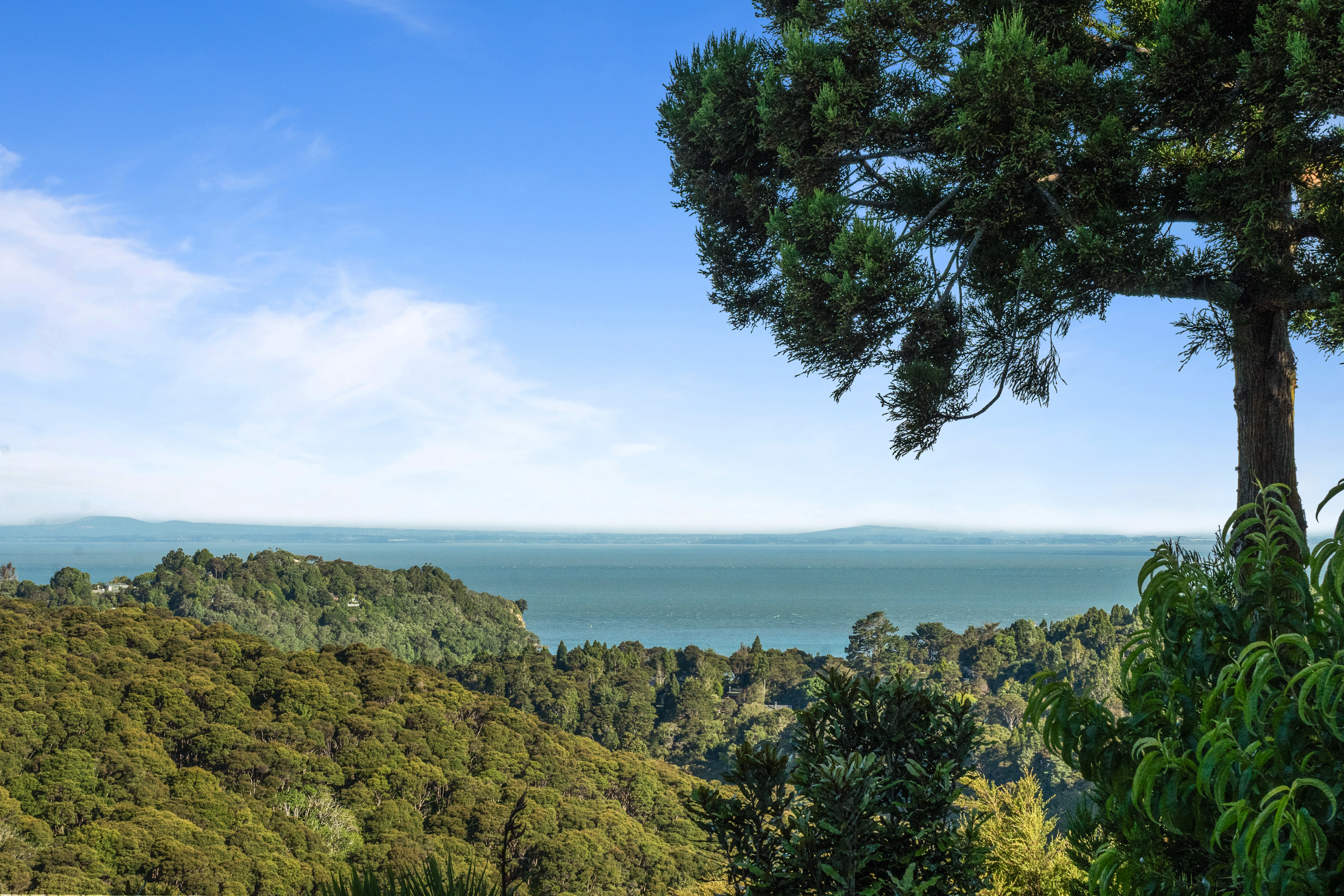 77 Minnehaha Avenue, Titirangi - Photo 3