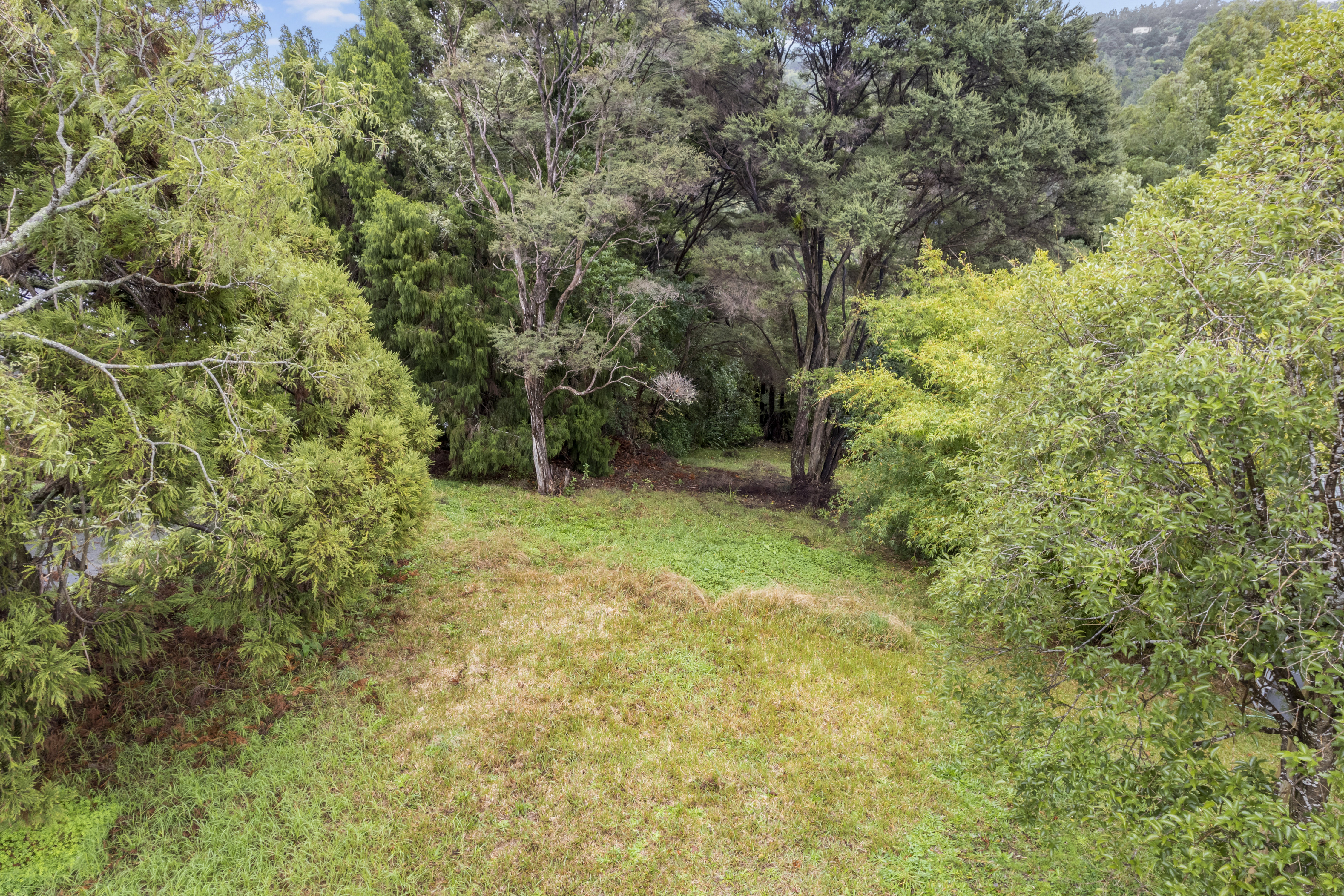 31 Rimutaka Place, Titirangi - Photo 2