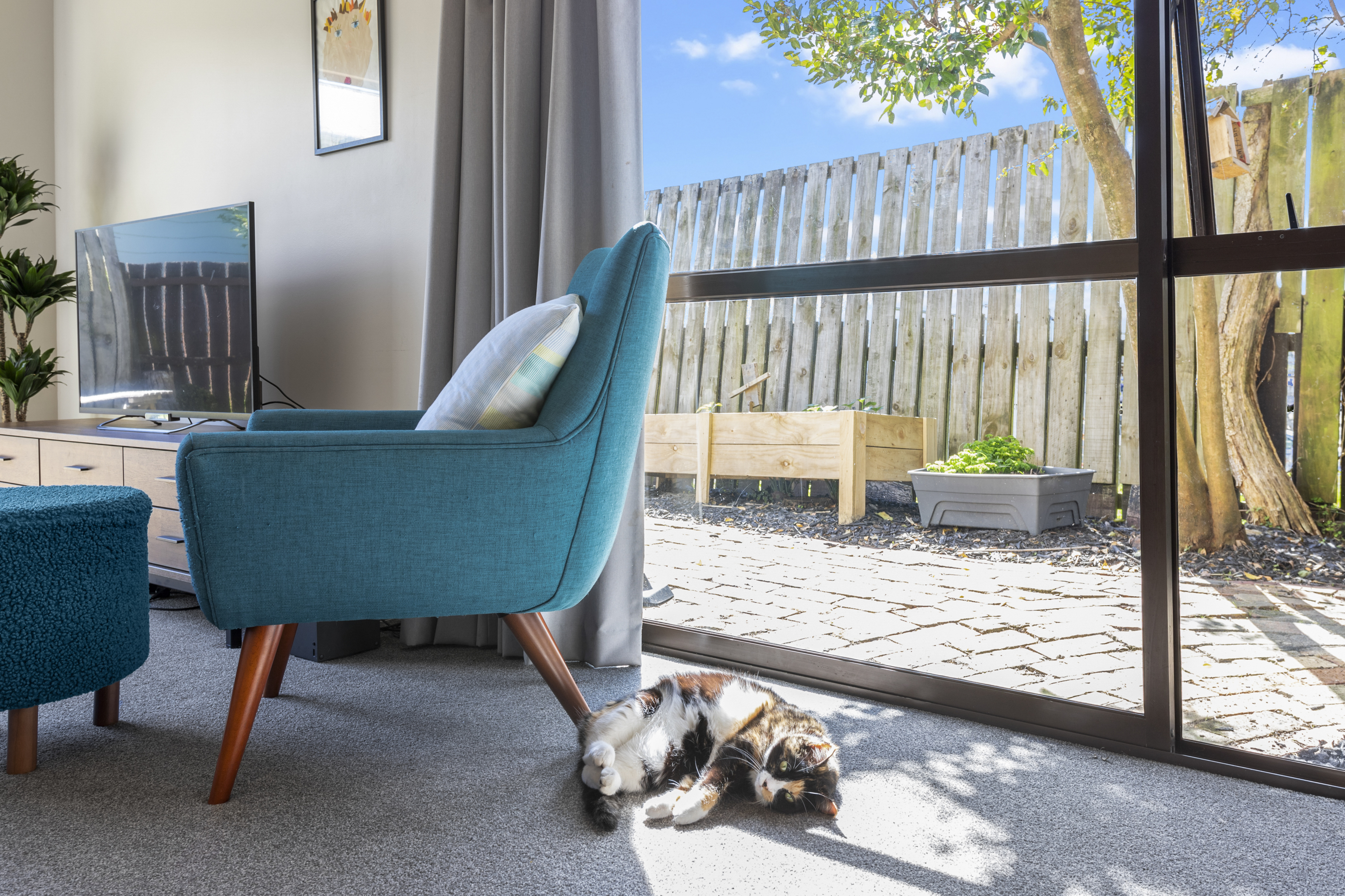 2/5 Northall Road, New Lynn - Photo 3