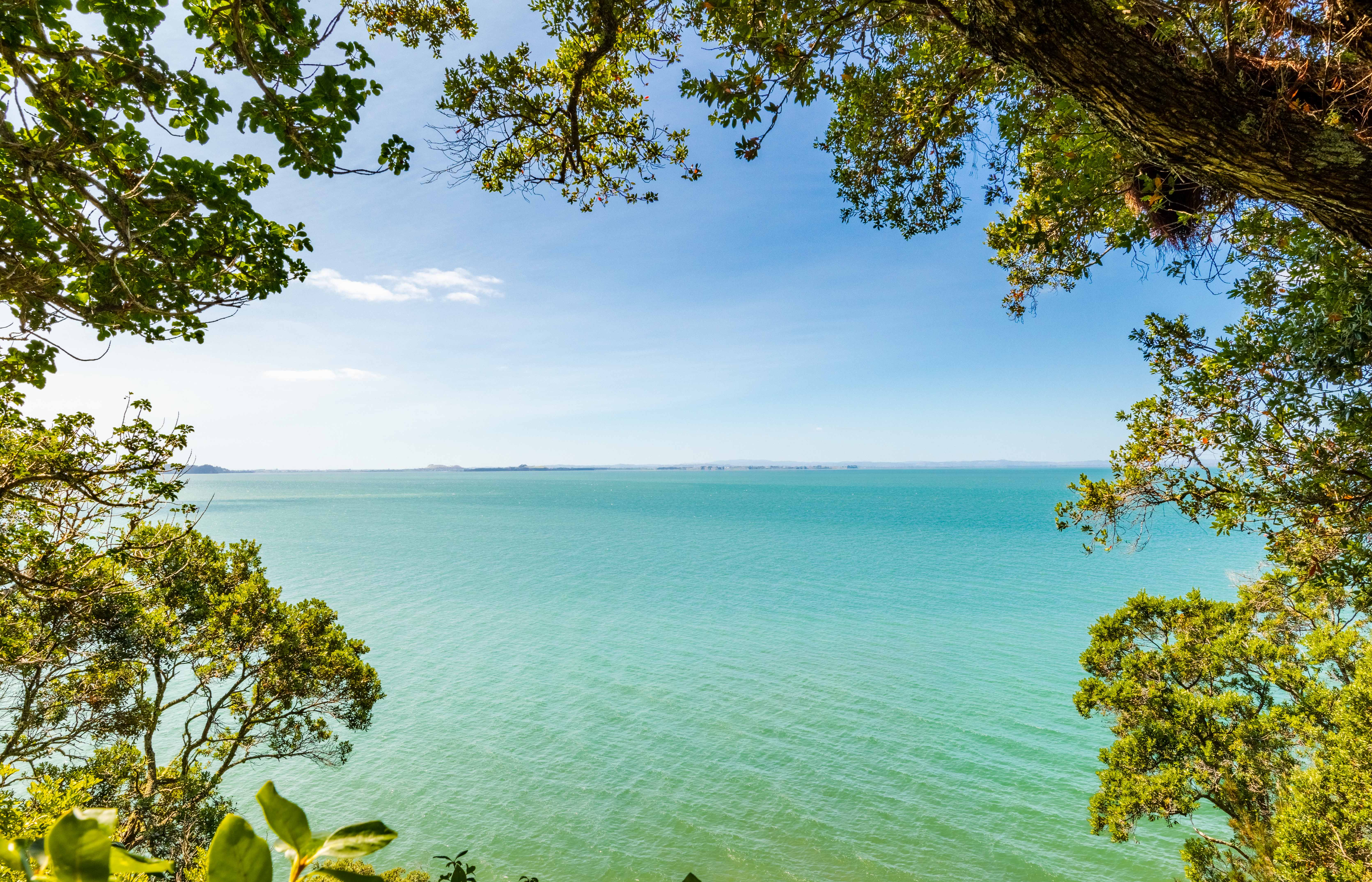 84 Kauri Point Road, Laingholm