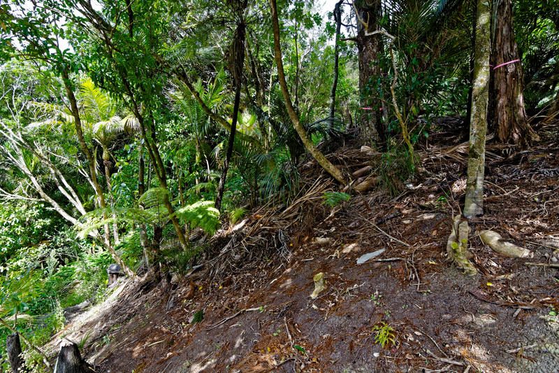 42 Tanekaha Road, Titirangi - Photo 3