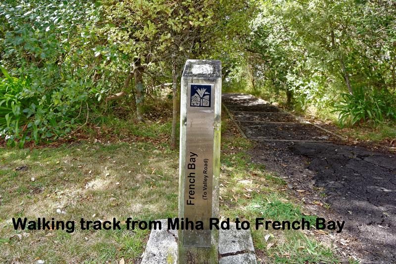 42 Tanekaha Road, Titirangi - Photo 4