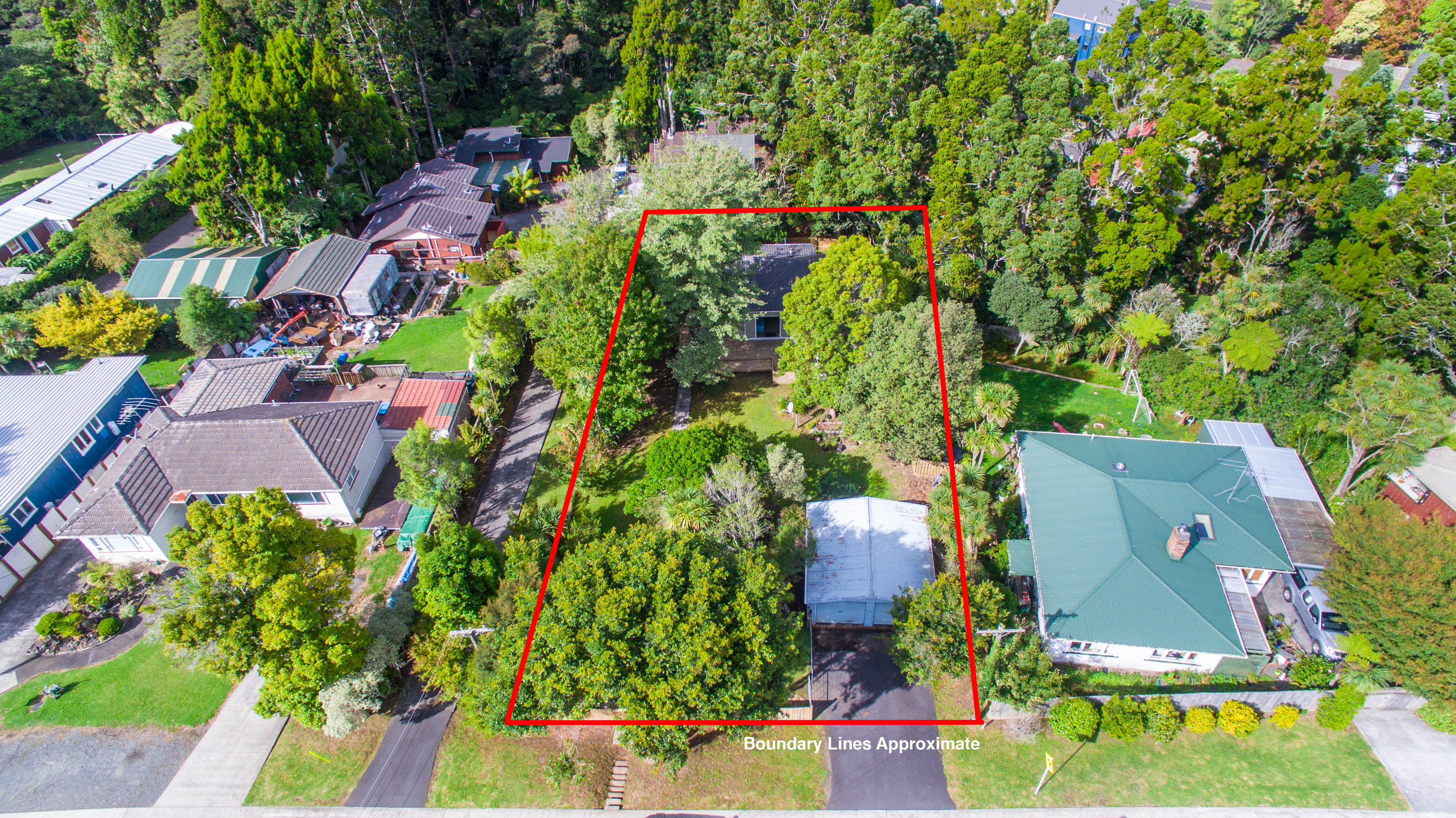 98 Konini Road, Titirangi - Photo 3