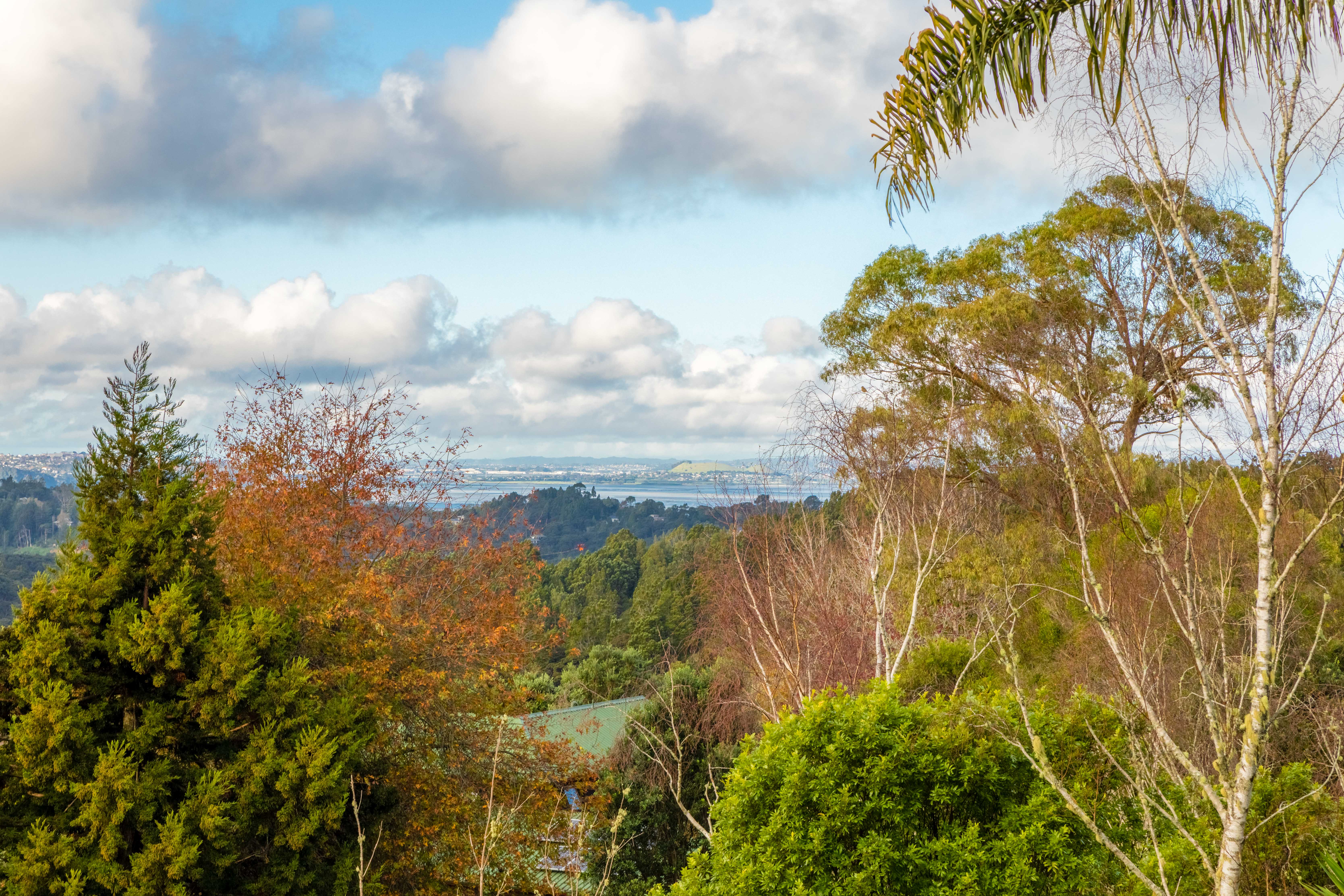 18 Laingfield Terrace, Laingholm - Photo 2