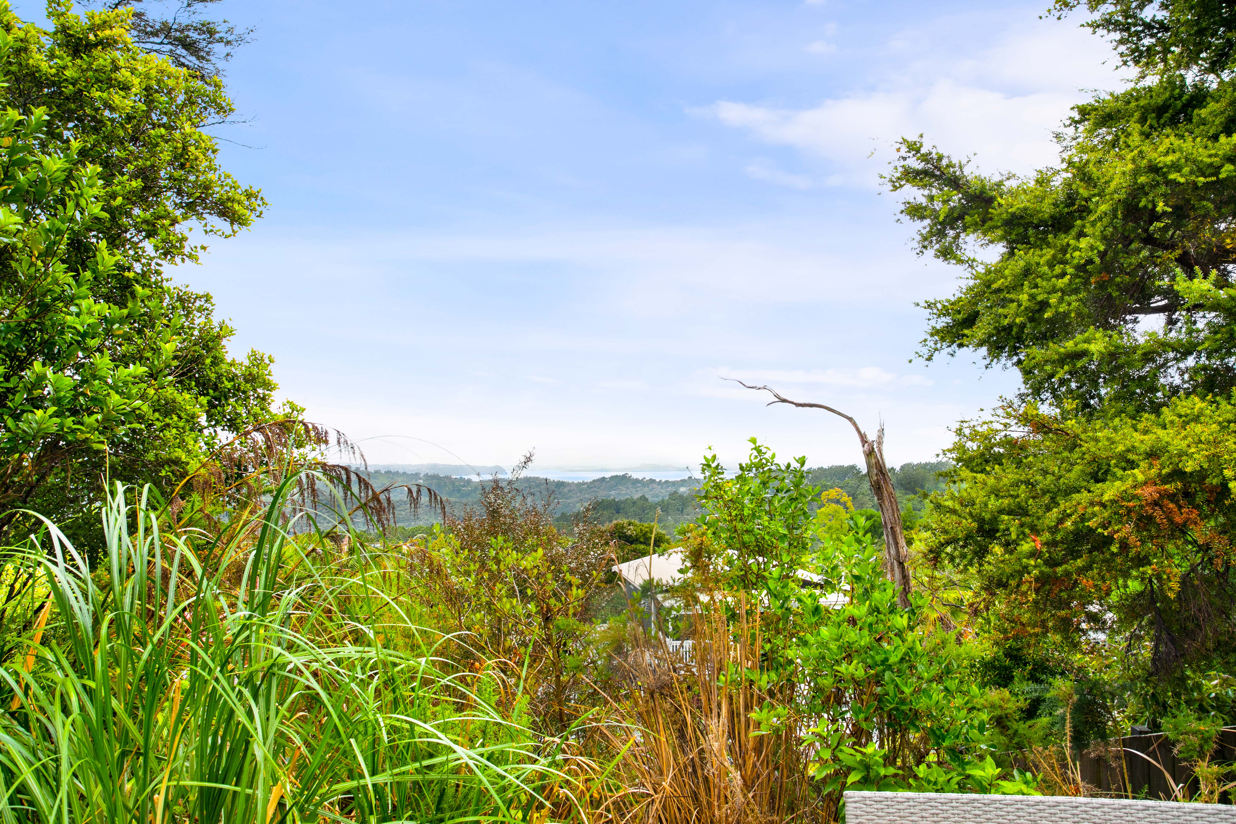 20 Victory Road, Laingholm - Photo 5
