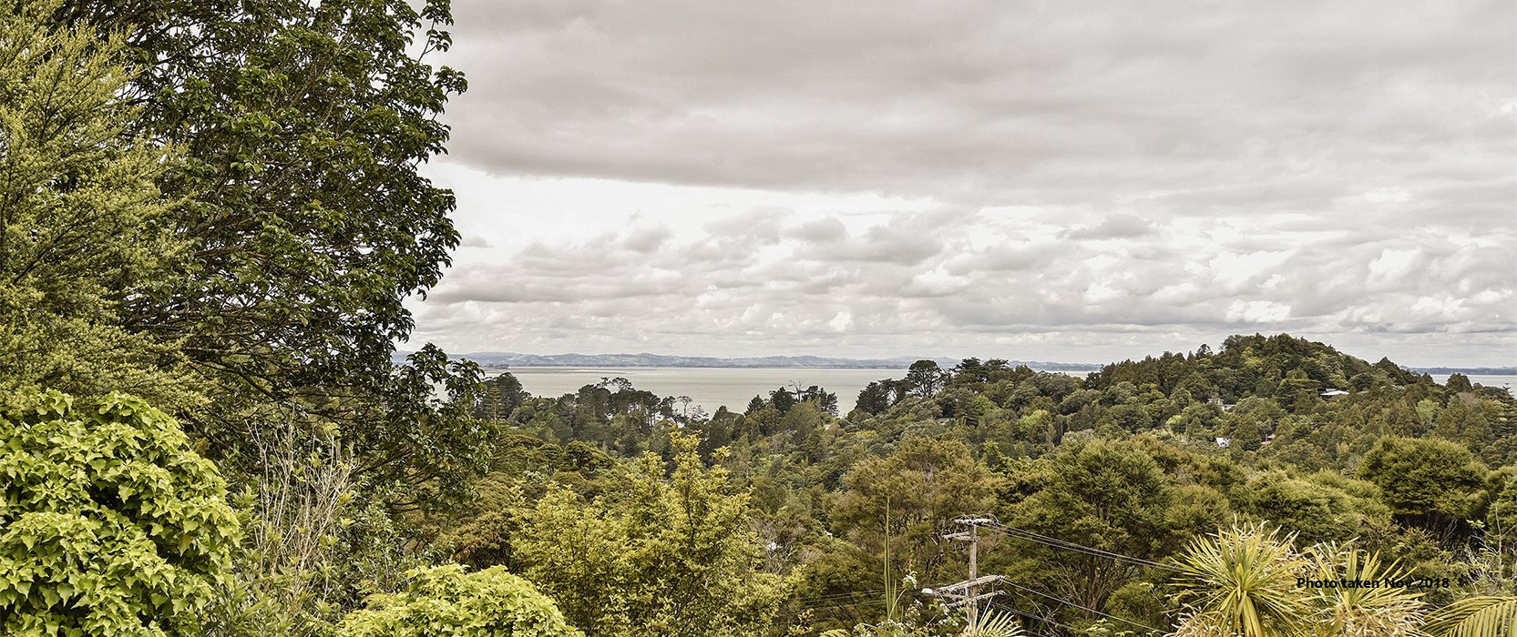 8 Warner Park Avenue, Laingholm - Photo 3
