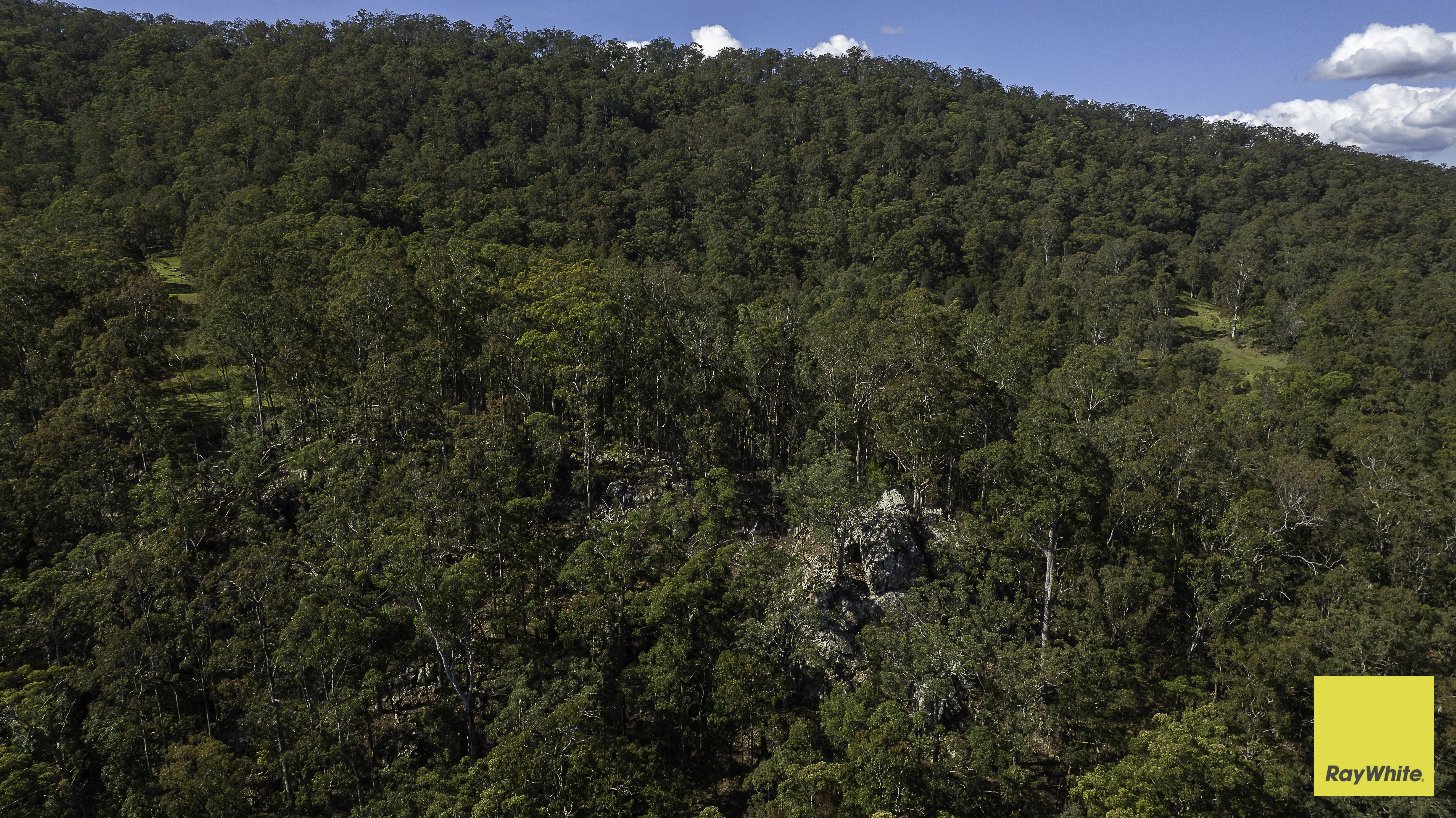 2257 Monkerai Road, Wards River For Sale by Farmbuy.com - image 17